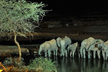 3-Day Tsavo West Safari Adventure from Mombasa