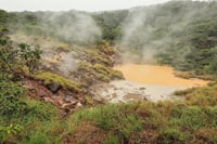 Rincon Volcano Park hike, Oropéndola Waterfall & Hot Springs 9