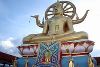 Wild Jeep Safari: Adventure in the Wild 7