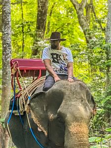 30 mins Elephant Riding + Animal Feeding