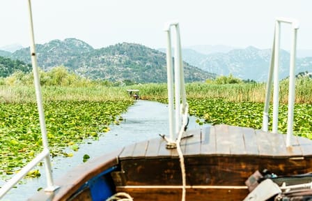 From Virpazar: Skadar Lake National Park Boat Tour & Karuč Visit