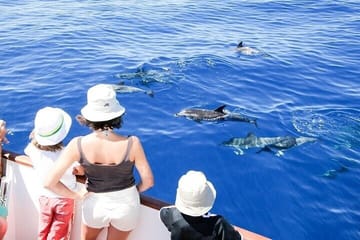 Snorkelling Day Trip to Dolphin House in Hurghada