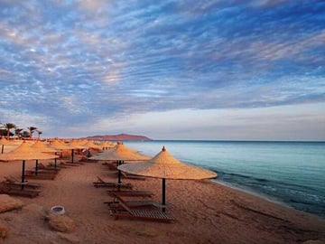 Day Tour to El Ain Sohkna from Cairo