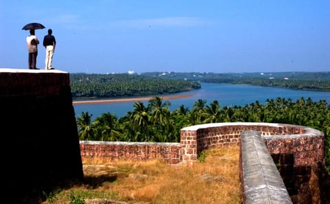 Cultural and Scenic Tour of Cochin and Southern India