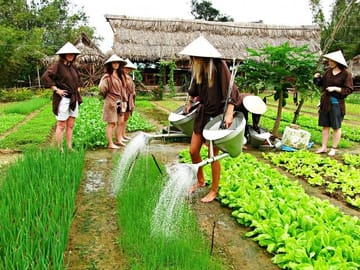 Food Street Experience Walking Tour Hoi An