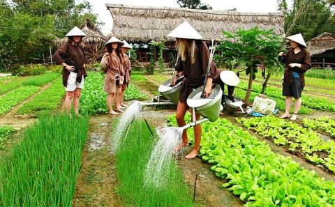 Hoi An Countrylife Tour with Organic Farming Experience
