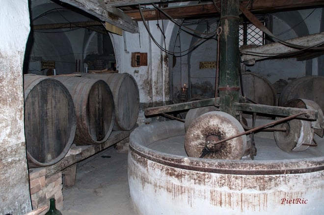 Food and Wine Tour in Pianella in Abruzzo between oil wine and typical products. - Photo 1