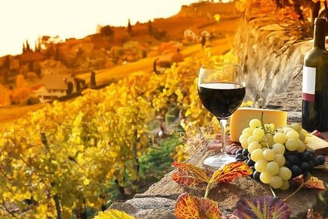 Chianti Private Tour with Dinner and Wine Tasting Experience