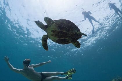 Abu Dabab Semi-Private Trip with tickets & lunch from Hurghada