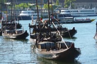 Porto Private Walking tour with a Professional Guide 7
