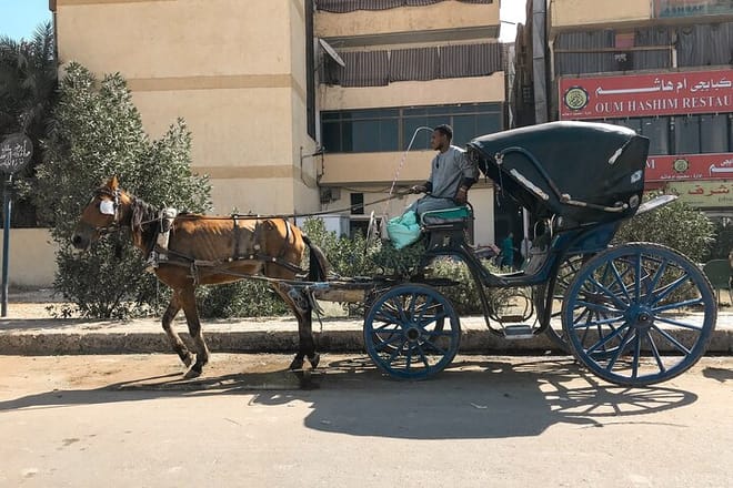Private City Tour One Hour By Horse Carriage &amp; 1 hour River Nile boat tour-Luxor