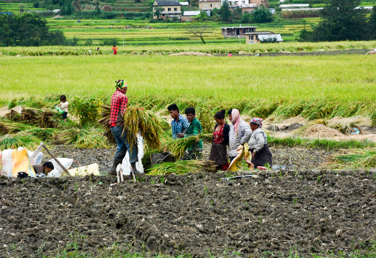 19 Days Mera Peak Climbing & Expedition – One Life-Changing Himalayan Adventure