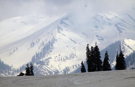 Kashmir Nature and Taj Mahal Tour in Agra and Gulmarg