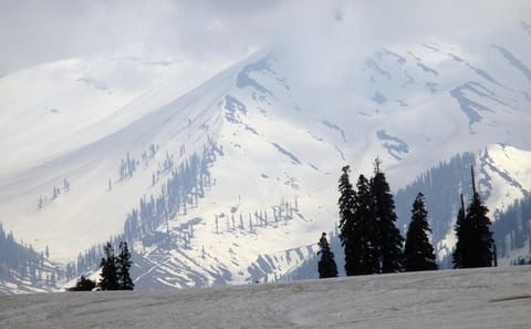 Kashmir Nature and Taj Mahal Tour in Agra and Gulmarg