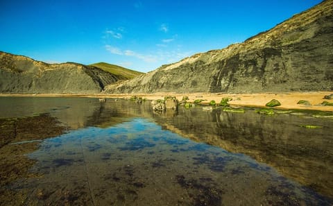 Private Tour of Jurassic Coast and Durdle Door in Dorset