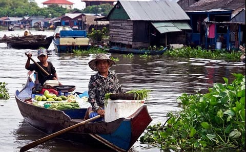 Private Tonle Sap Lake Boat Tour to Floating Village and Mangroves