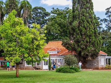 Nairobi Museum Snake Park Giraffe Center and Beads Center Tour