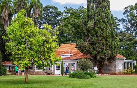 Nairobi Giraffe Center and Karen Blixen Museum Guided Tour