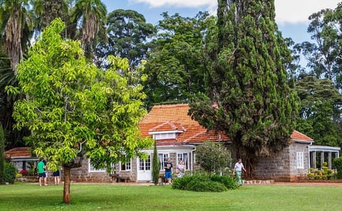Nairobi Giraffe Center and Karen Blixen Museum Tour