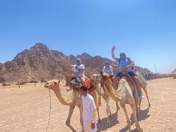 ATV Quad Bike Safari Sharm El Sheikh Camel Ride BBQ Dinner Show