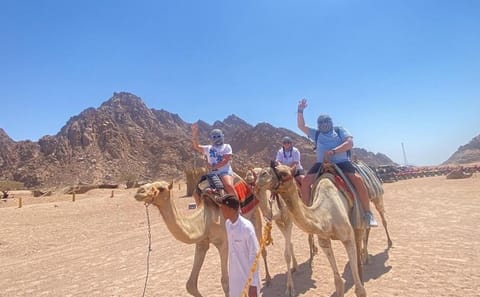 Sharm El Sheikh Desert Safari with ATV, Camel Ride, and BBQ