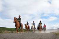 Reykjavík Whales & Horses 7