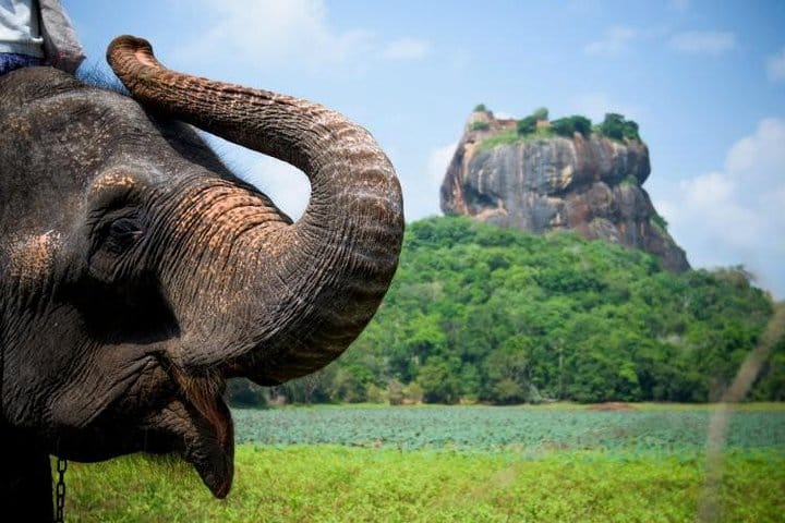 Srilanka