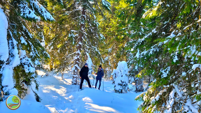 Snowshoeing Fun Tour from Cluj Napoca photo 5