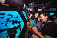 Panorama Semi Submarine And Snorkeling Sea Trip In Hurghada 4