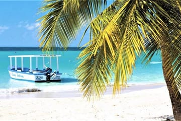 Shopping and Beach Day in Montego Bay from Falmouth