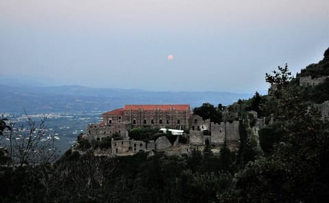 Full Day Tour of Ancient Sparta and Mystras from Athens