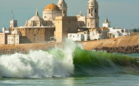 Cádiz and Jerez Day Tour from Seville with Tastings