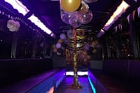 St. Maarten Private VIP Party Bus Rental up to 25 Guests 8