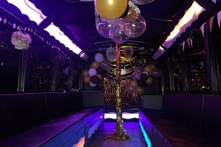 St. Maarten Private VIP Party Bus Rental up to 25 Guests 8