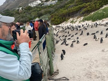 Table Mountain, Boulder's Beach and Cape Point Tour