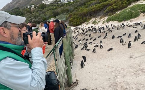 Table Mountain, Boulder's Beach and Cape Point Tour