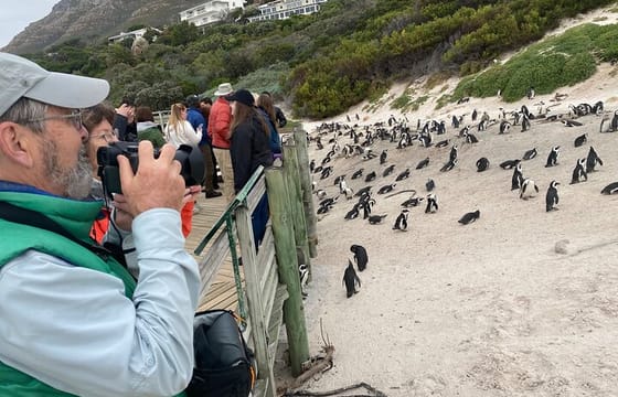 Table Mountain Boulder’s Beach and Cape Point