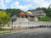 03 Day Exprience in Sri Lanka 5
