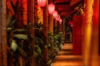 A walk into wonder — Guests enter through our Secret walkway leading to Hoi An’s best-kept dining secret.