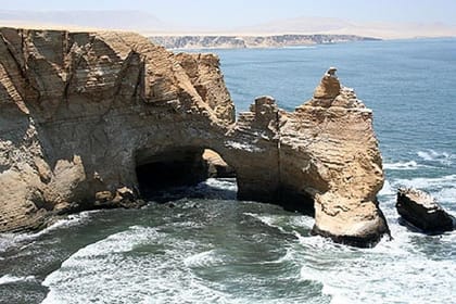 Paracas National Reserve Half Day Tour