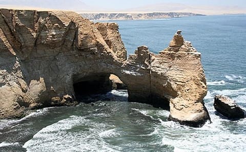 Half-Day Tour of Paracas National Reserve in Peru