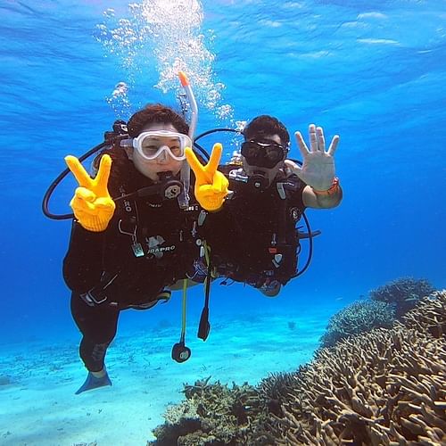 【石垣島】ライセンス不要！体験ダイビング半日ツアー（2024年4月～）