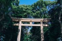 Tokyo Early Morning Tour Asakusa Meiji Shrine (Private Opt) 3