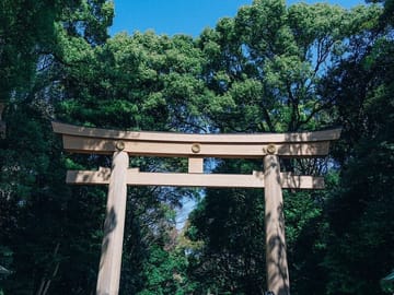Tokyo Early Morning Tour Asakusa Meiji Shrine (Private Opt)