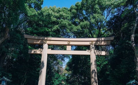 Tokyo Early Morning Tour Asakusa Meiji Shrine (Private Opt)