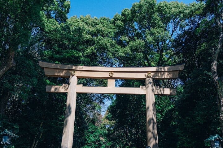Tokyo Early Morning Tour Asakusa Meiji Shrine (Private Opt) 3