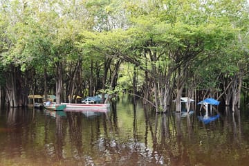 Amazon Jungle Adventure: 3-Day Tour from Manaus