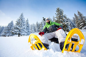 Snowshoeing tour in Levi 