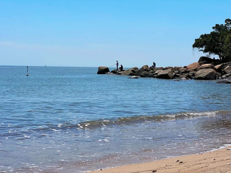 Zhuhai: Qi'ao Island Cycling & Mangrove Private Day Trip
