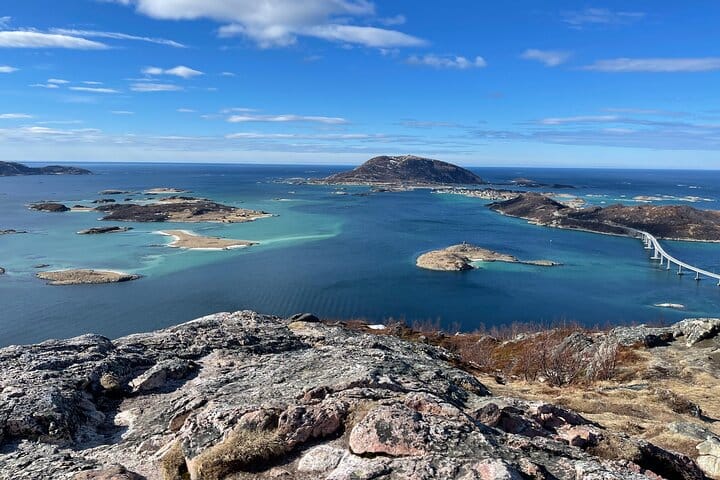 Tromsø Fjords and Wildlife Tour in a Minibus
